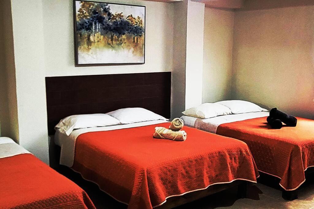 Loft Centrico 3 Camas Matrimoniales,Aire Acondicionado, Parking Daire Ciudad Valles Dış mekan fotoğraf